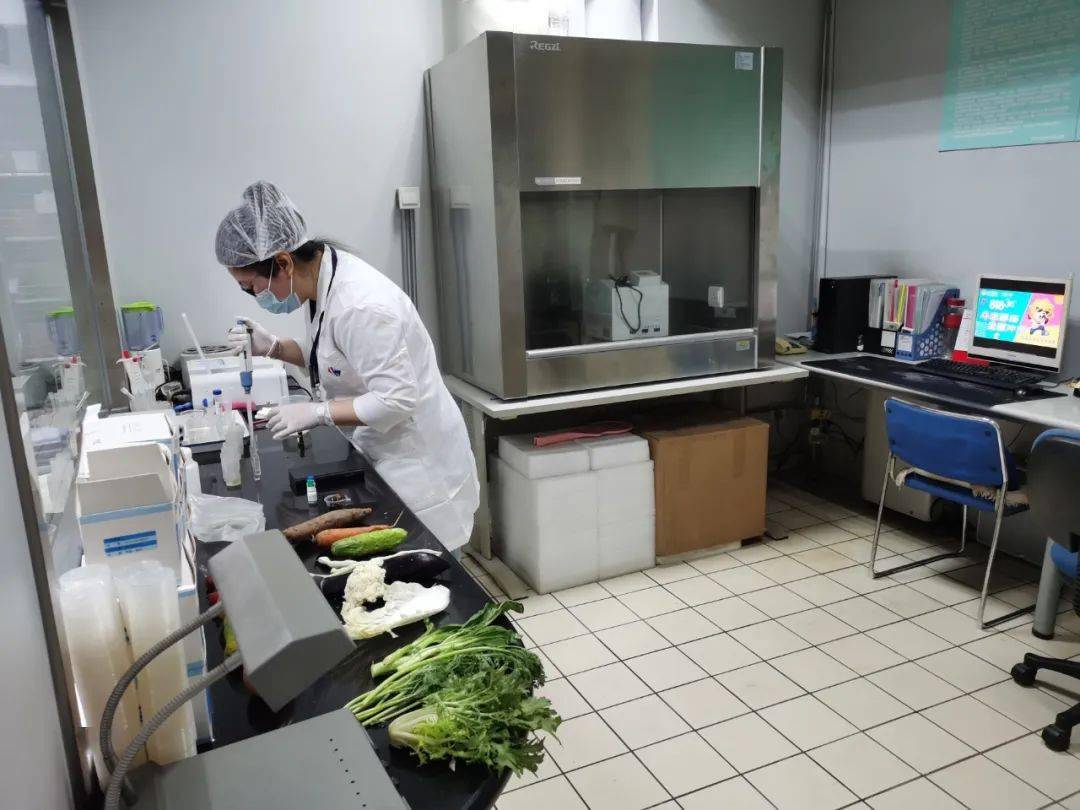长宁食品检测实验室装修方案